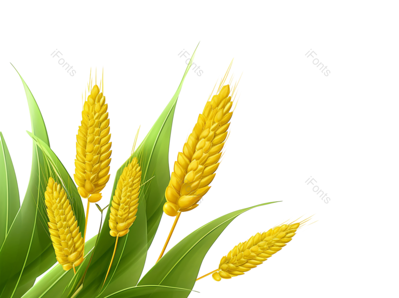 装饰图片,芒种元素,元素PNG,小满免抠素材